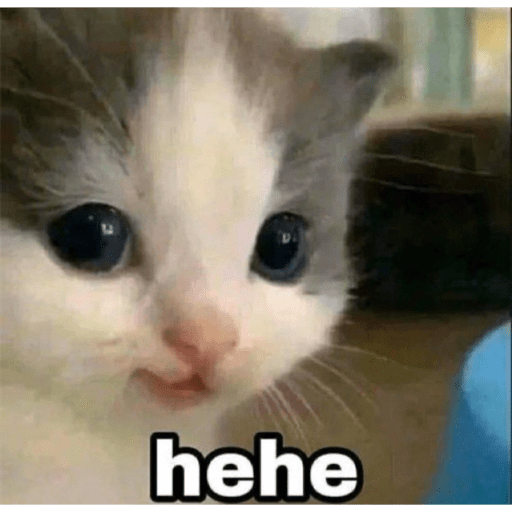 Twitter memes 13