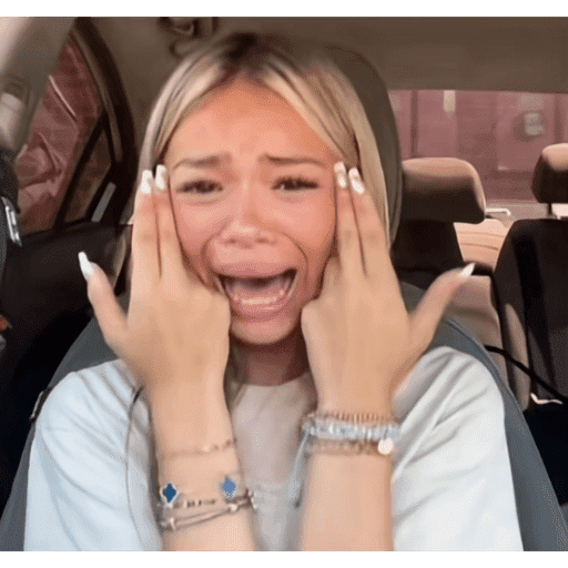 Tiktok stickers 6
