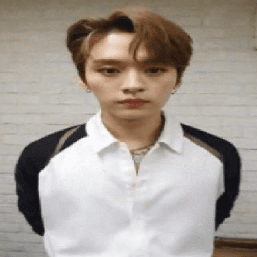 ᰋ 𝅄    ও Lee Know ¡ 8
