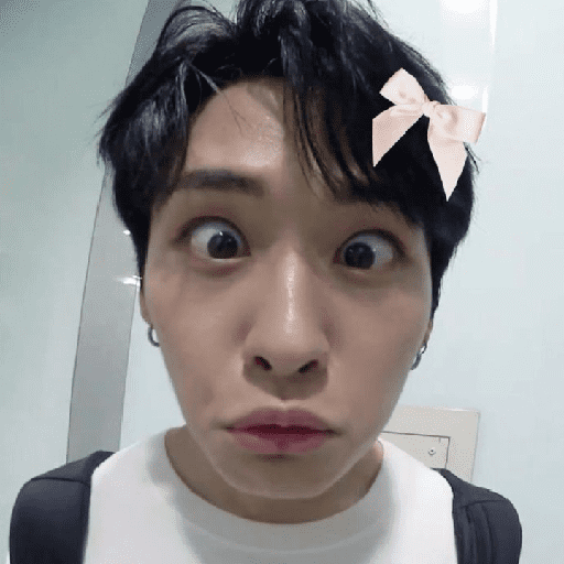 ᰋ 𝅄    ও Lee Know ¡ 9