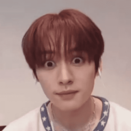 ᰋ 𝅄    ও Lee Know ¡ 14