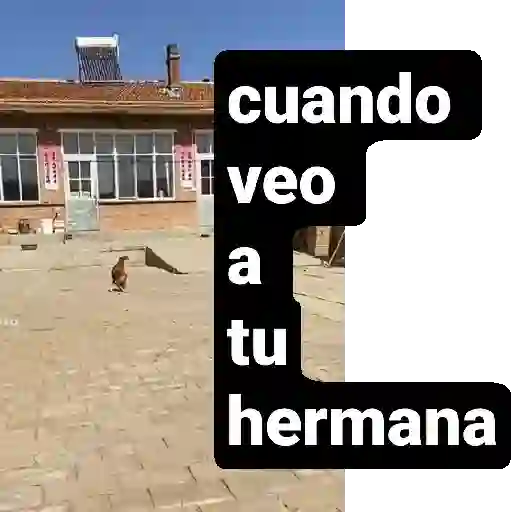 Dime en que he fallado 20