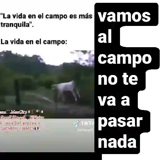 Dime en que he fallado 16