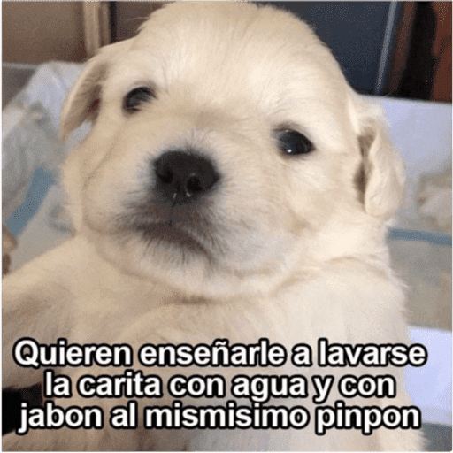 Mis pegatinas 22