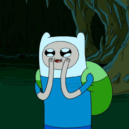 Finn, The Human 17