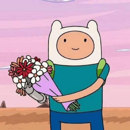 Finn, The Human 11