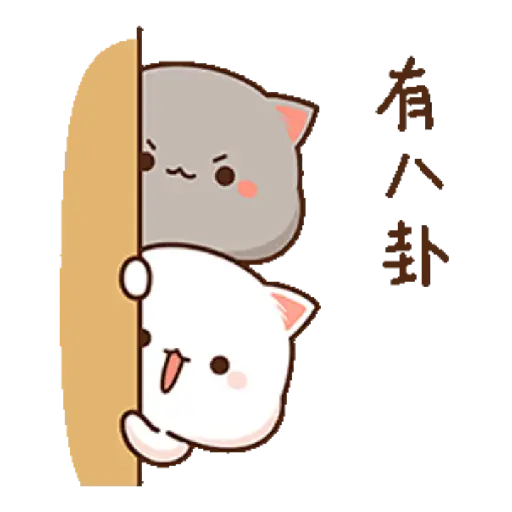 Kittygif 5