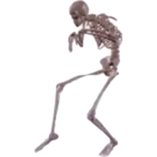 Adhesiu 24