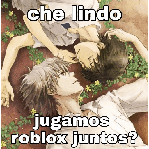 Ramdom 15