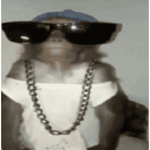 Macaquinho 7