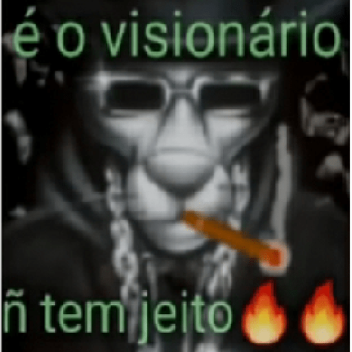 O lapada seca 11