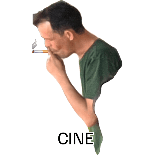 Sip 13