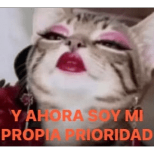 Sip 15
