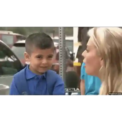 Animados 28