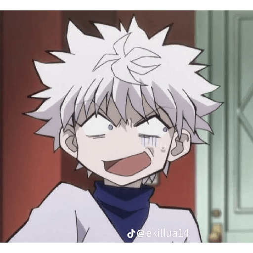 Killua Zoldick 1