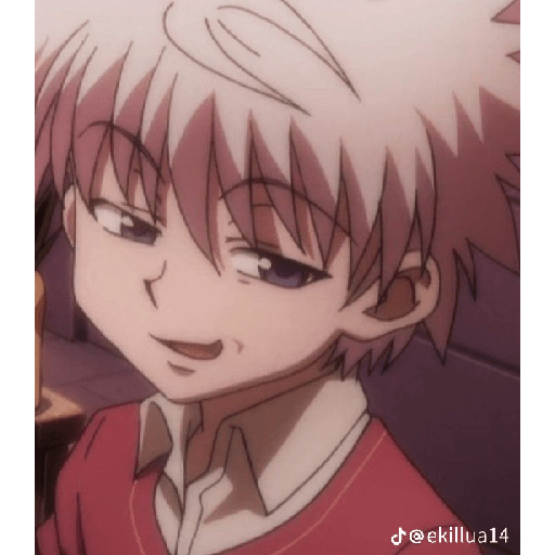 Killua Zoldick 4