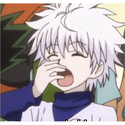Killua Zoldick 5