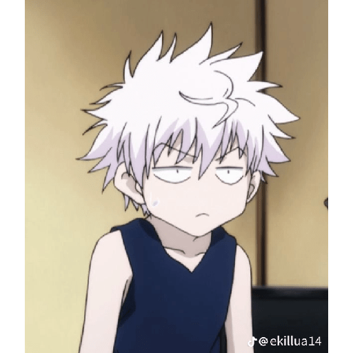 Killua Zoldick 8