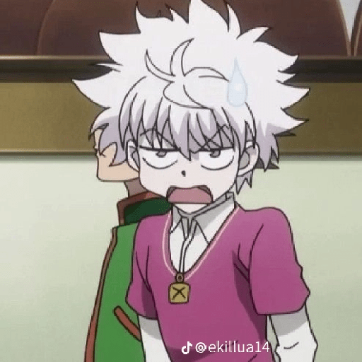 Killua Zoldick 11