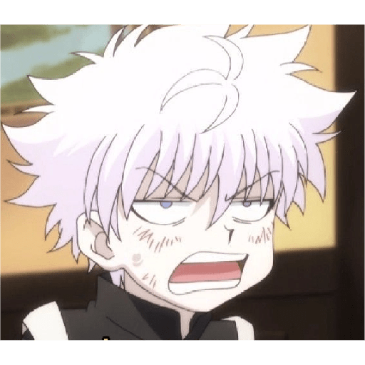 Killua Zoldick 12