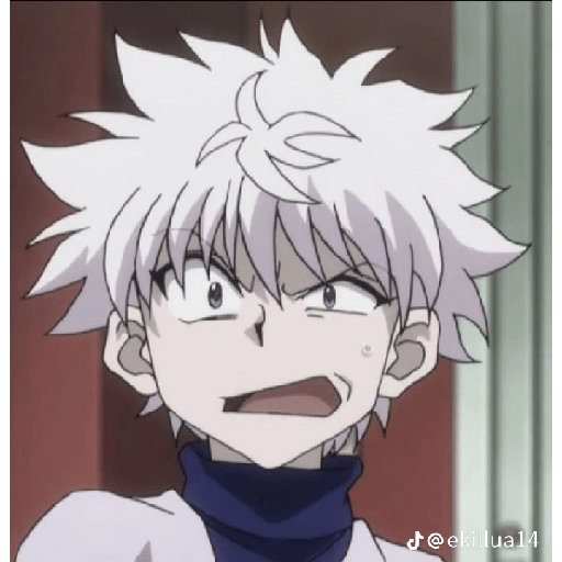 Killua Zoldick 13