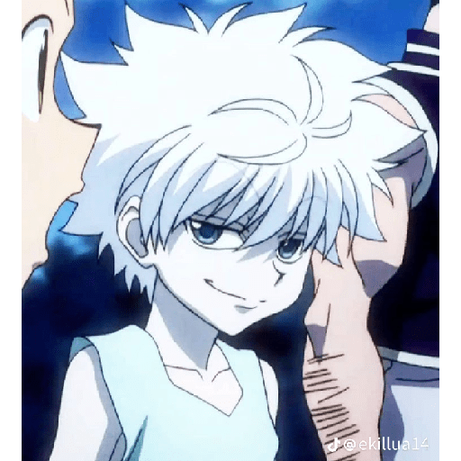 Killua Zoldick 14