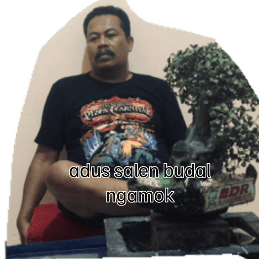Mulyo bajuki