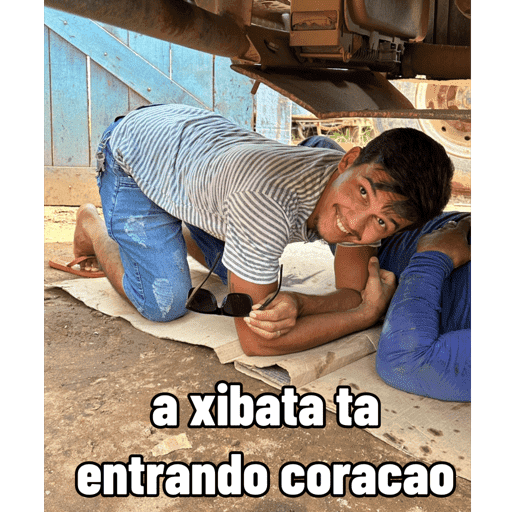 Minhas figurinhas 13