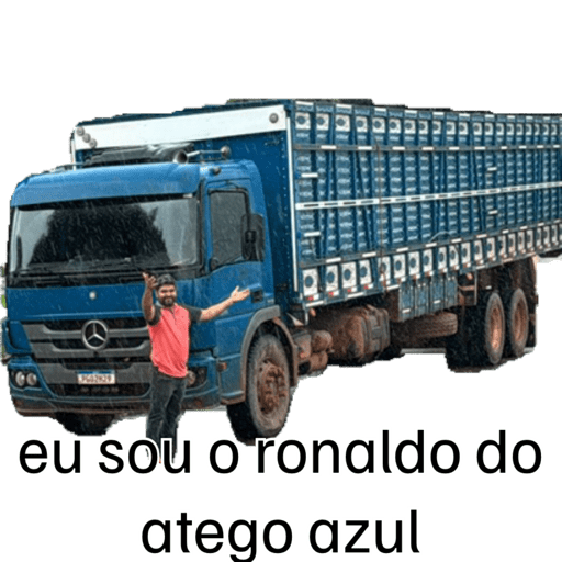 Minhas figurinhas 8