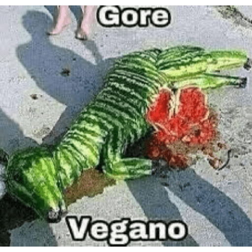 Aleatório 4