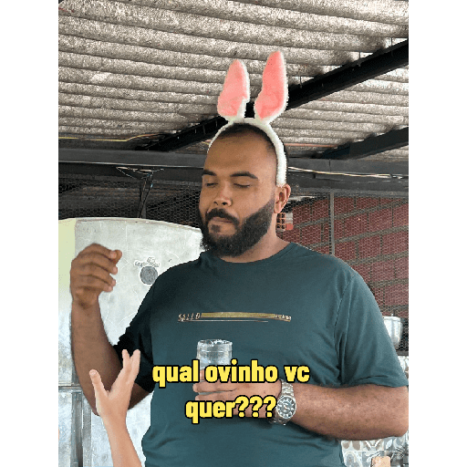 Minhas figurinhas 21