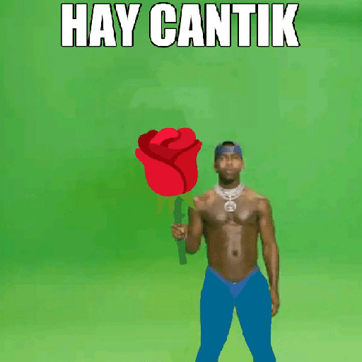 Fesnuk 13 14