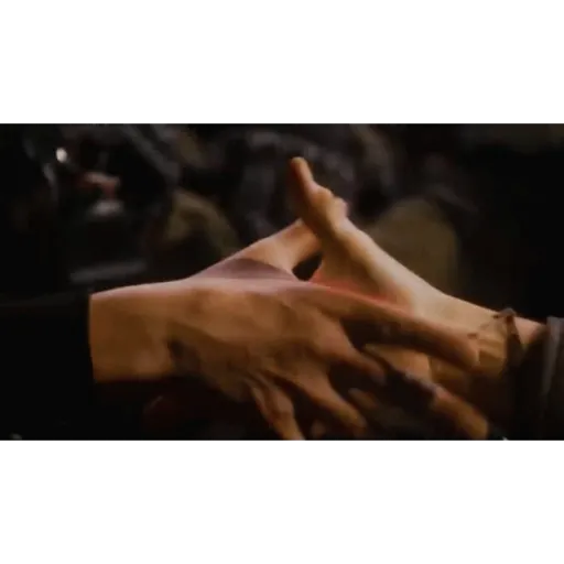Filmes 28