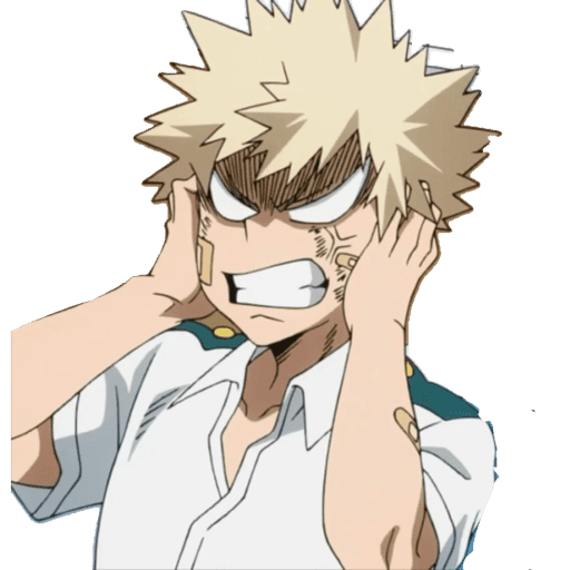 Bakugou 25.1 8