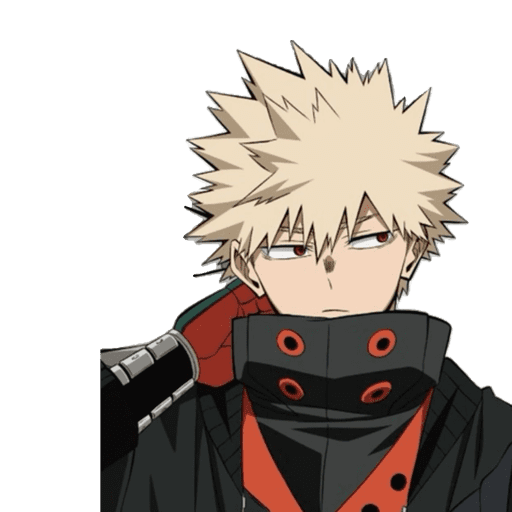 Bakugou 25.1 2