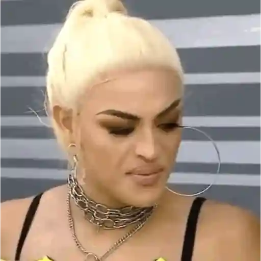 Animados do zé 17
