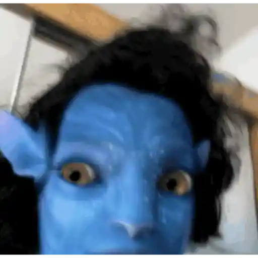Animados do zé 5
