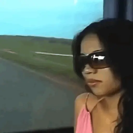 Animados do zé 10