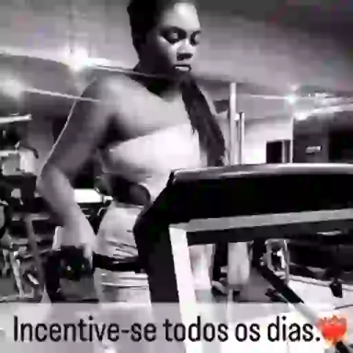 Animados do zé 23