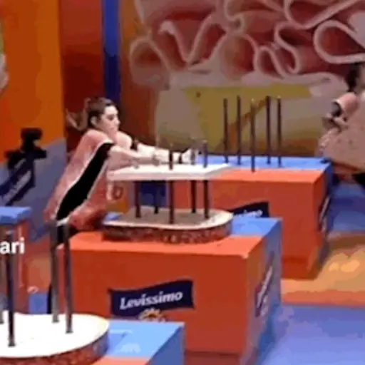 Animados do zé 25