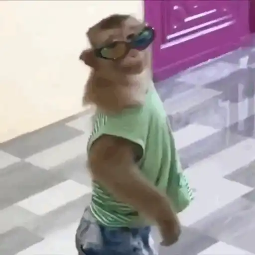 Animados do zé 12