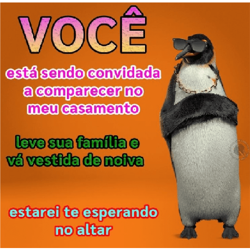 Pinguin ponto friokkkk 3