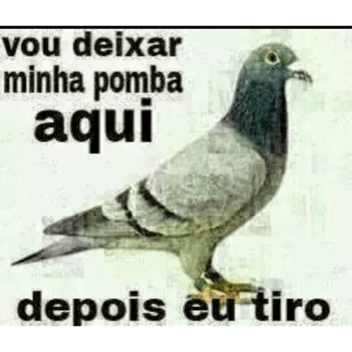 Resenha! 28