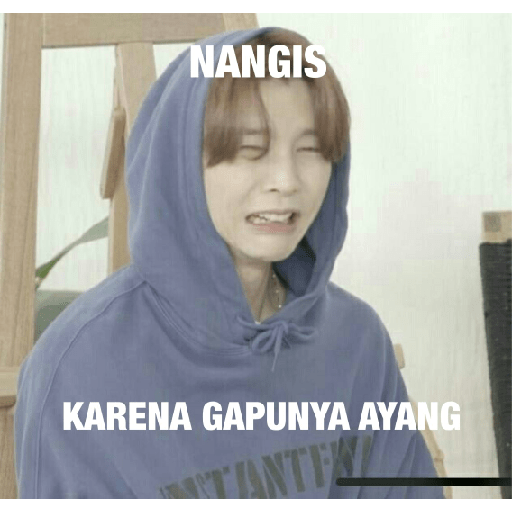 Meme twt