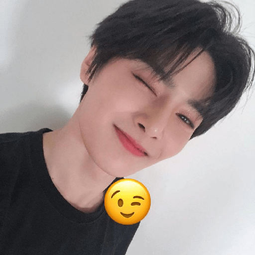 Kpop caritas 8