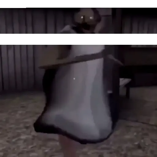 Videos  5