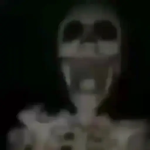 Videos  2