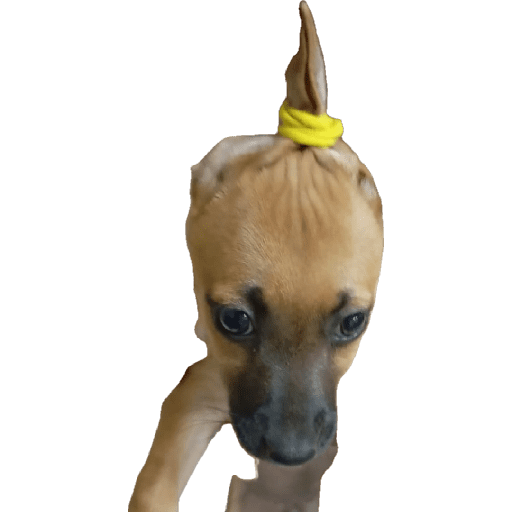 ******