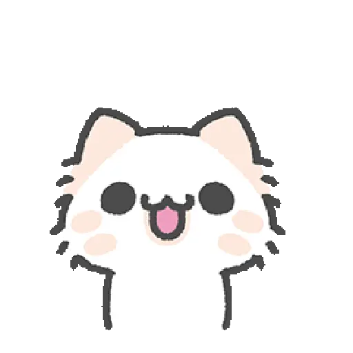 Cute cat 5