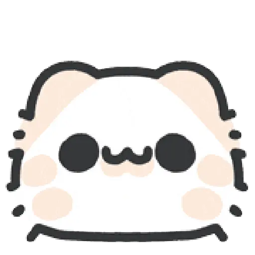 Cute cat 24